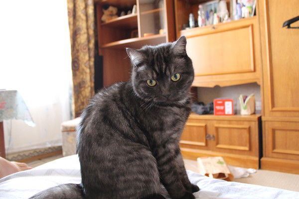 Ольга Тарасова