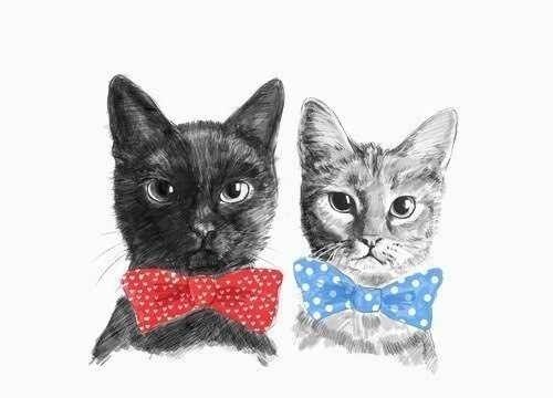 Дарья Кондакова