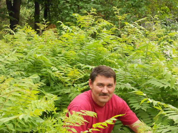 Дмитрий Шпортак