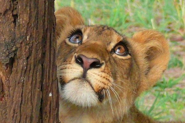 Наталия Нефёдова