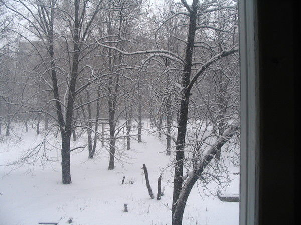 Олександр Житній