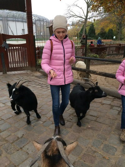 Ниняка Кравченко