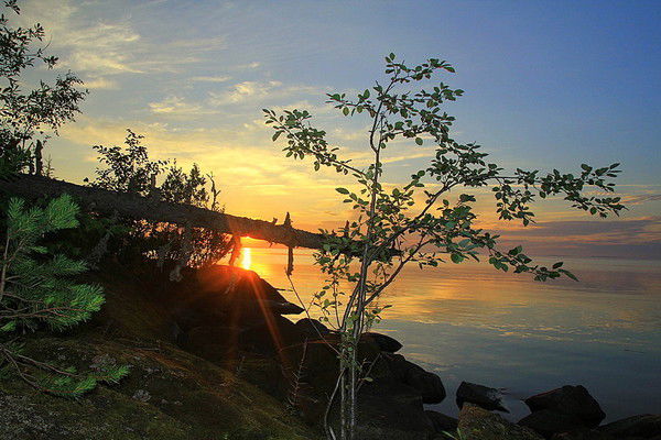 Луиза Гарипова