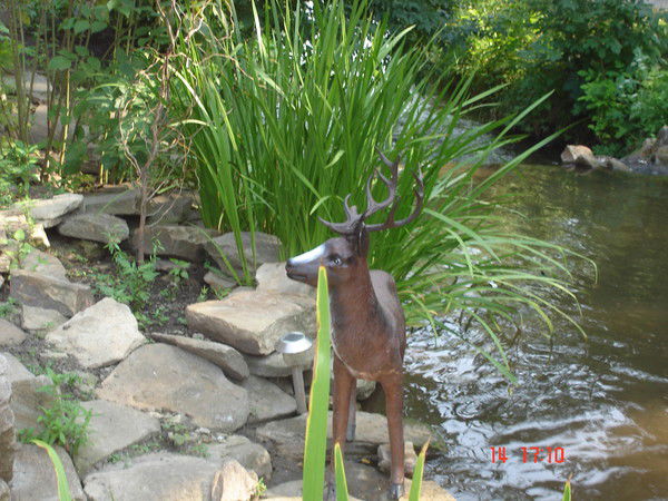 Людмила Тромпинская