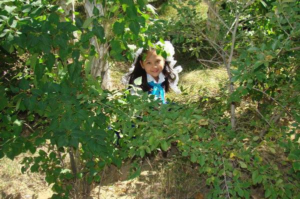 Айкоша Бериккажи