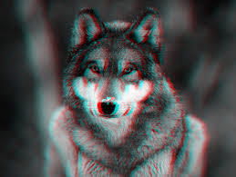 Юля Имперович