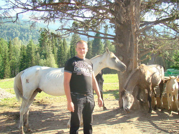 Сергей Удовенко