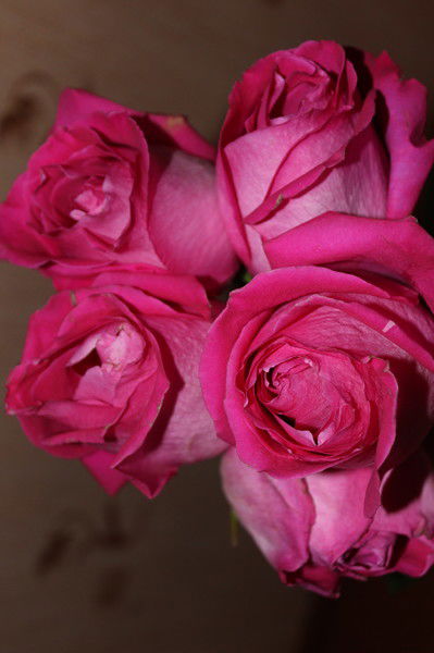 Ирина Чичуга