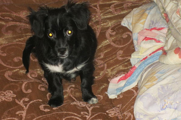 Андрей Михеев