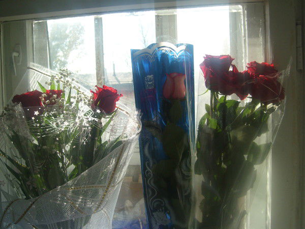 Елена Башорина