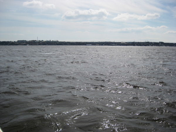 Сильвия Дарзниекс