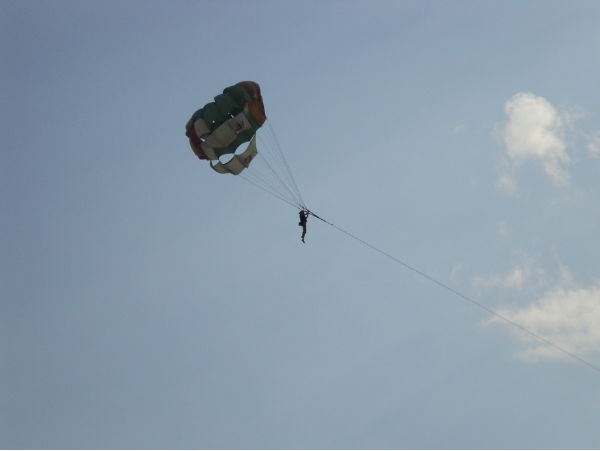 Людмила Жмура