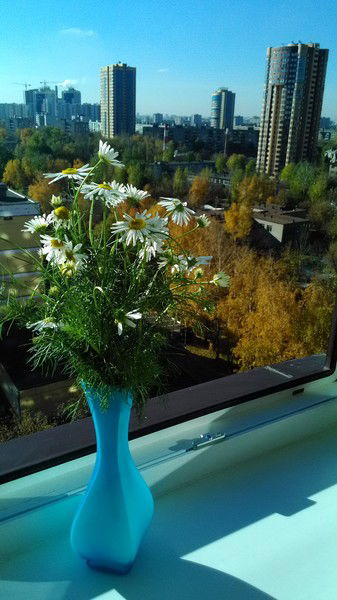 Ирина Зайцева