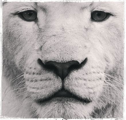 Юлия Пожарская