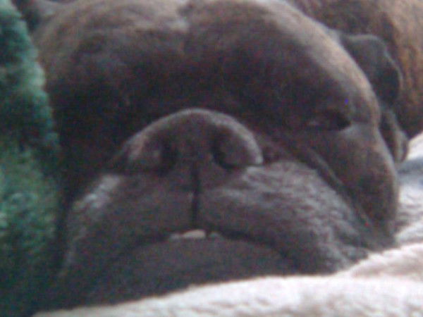 Игорь Загородников