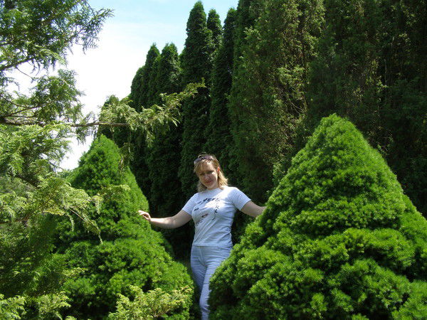 Светлана Терехова