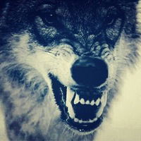 Мерхат Ермагамбетов