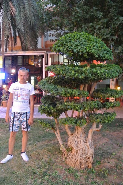 Идар -_- Tat@-In