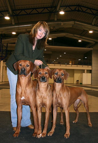 Елена Марьяновская