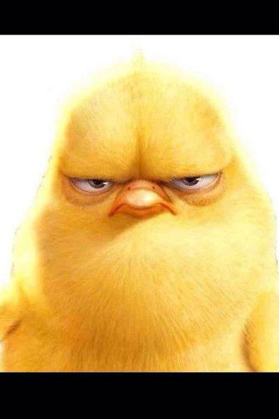 Ерлан Раманкулов