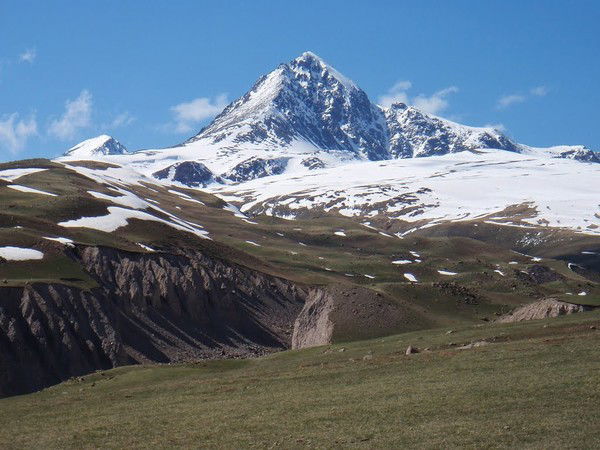 Адилет Сейитказиев