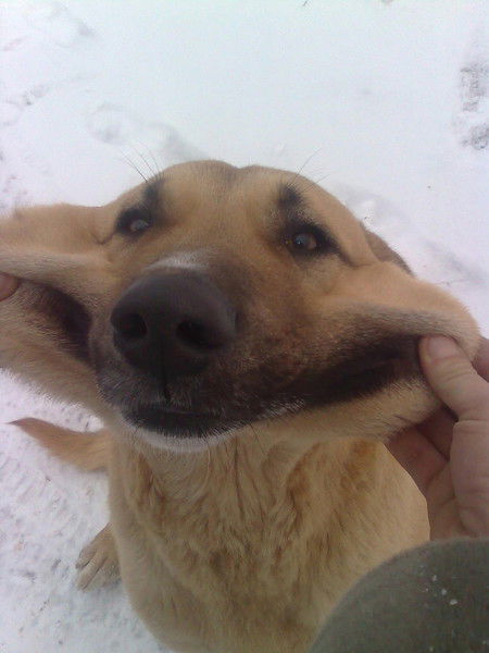 Олежан Олежан