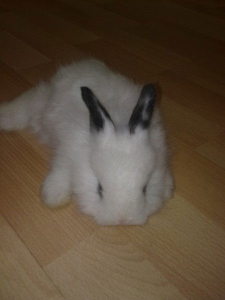 Екатерина Панкрашкина