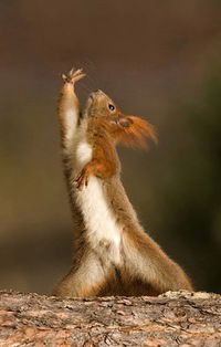 Кристина Петрова