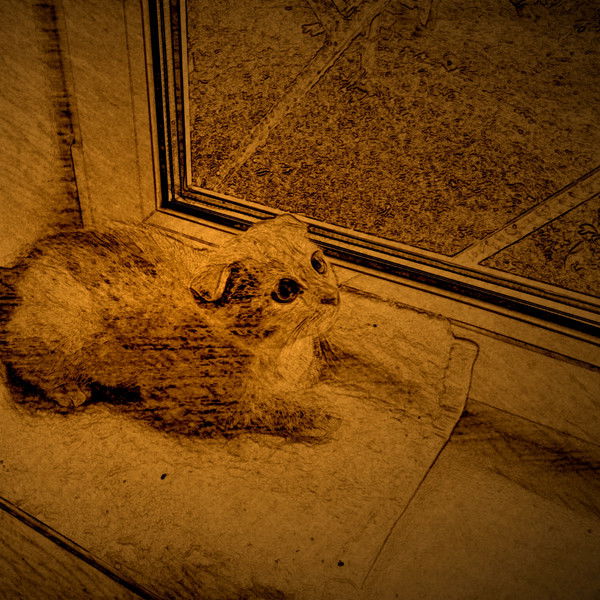 Апарина Александра