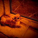 Апарина Александра