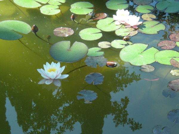 Галина Скрыльникова