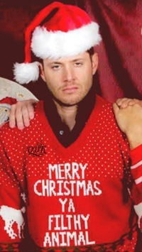 Даниил Михайлов