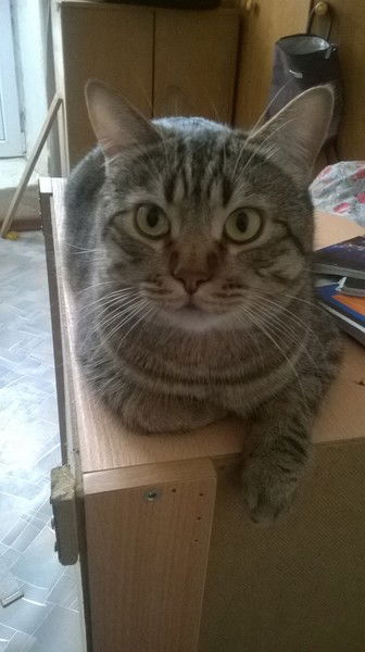 Максим Бессонцев