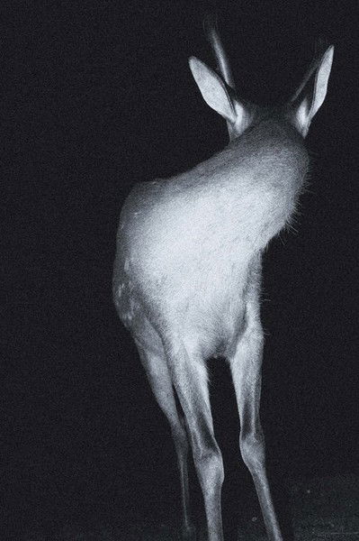 Евгений Galvas