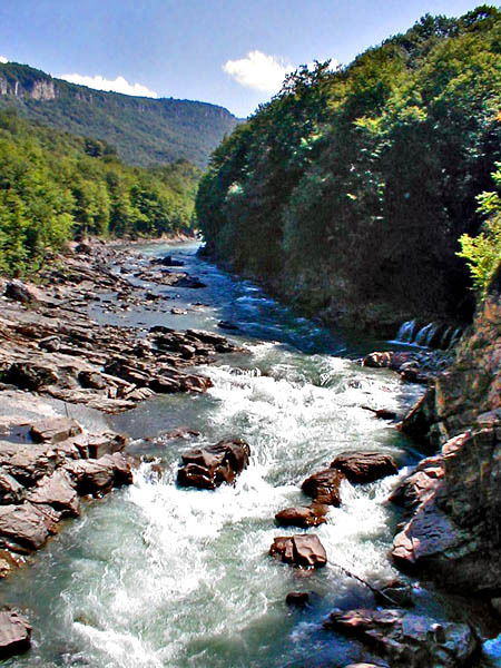 Софья Эдуардовна Кондратьева