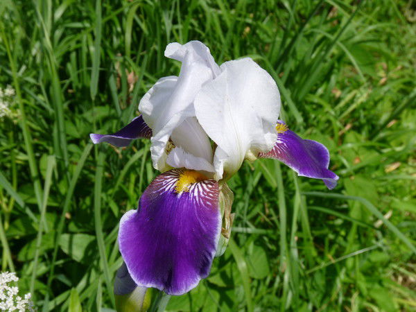 Светлана Руднева