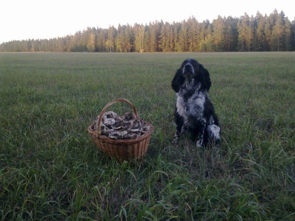 Ольга Чепипь