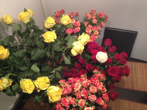 Юлия Синчугова