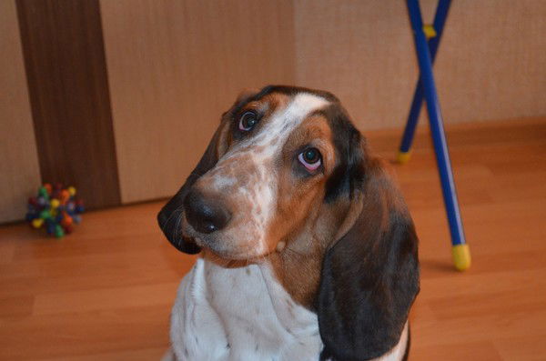 Евгений Путинцев