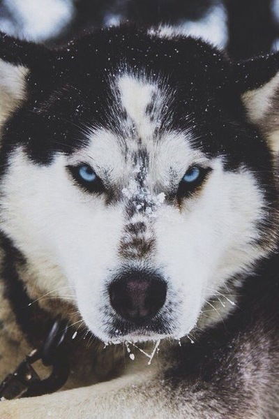 Иван Иванов