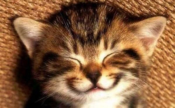 Ольга Трунова