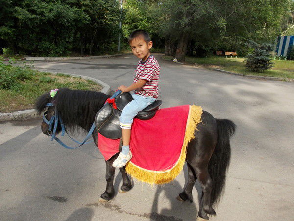 Салтанат Дауренбекова