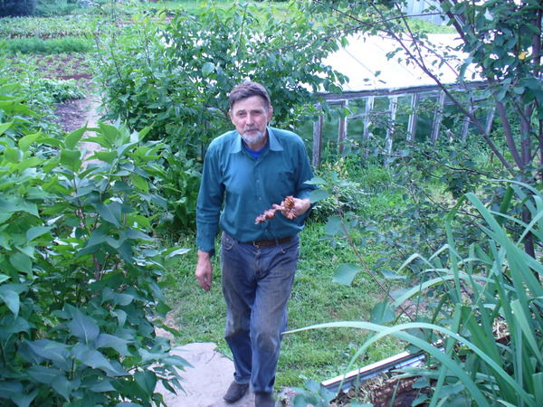 Владимир Домрачев