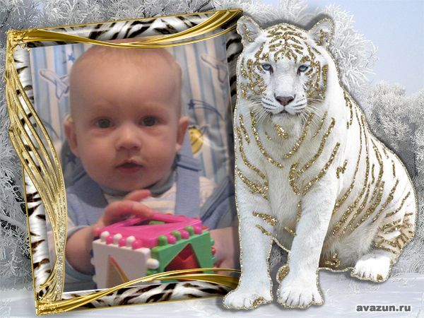 Владимир Астахов