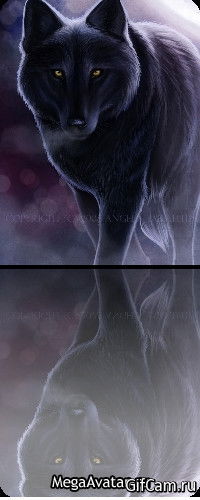 Денис Шайхетдинов