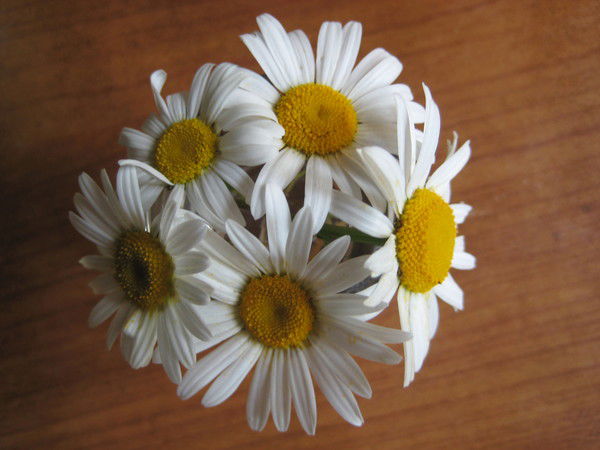 Ната Иванова