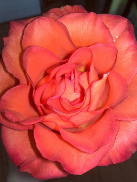 Юлия Варапанова