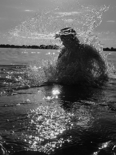 Марк Арутюнов