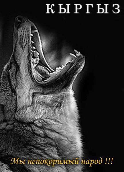 Алмаз Турдакунов