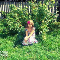 Каролина Правдик